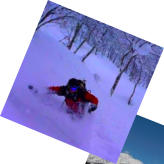 Powder skiing in Japan